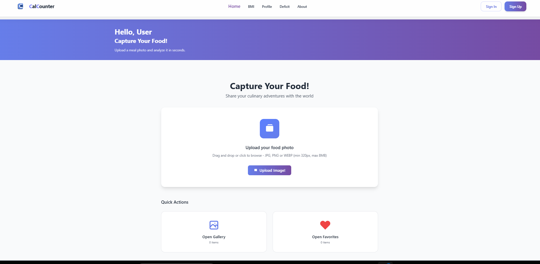 CalCounter Project